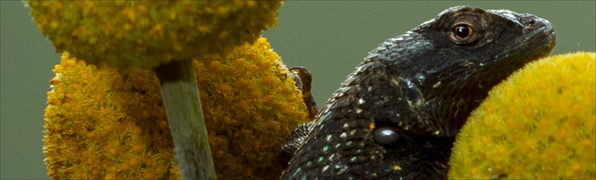 Our Power, Our Planet