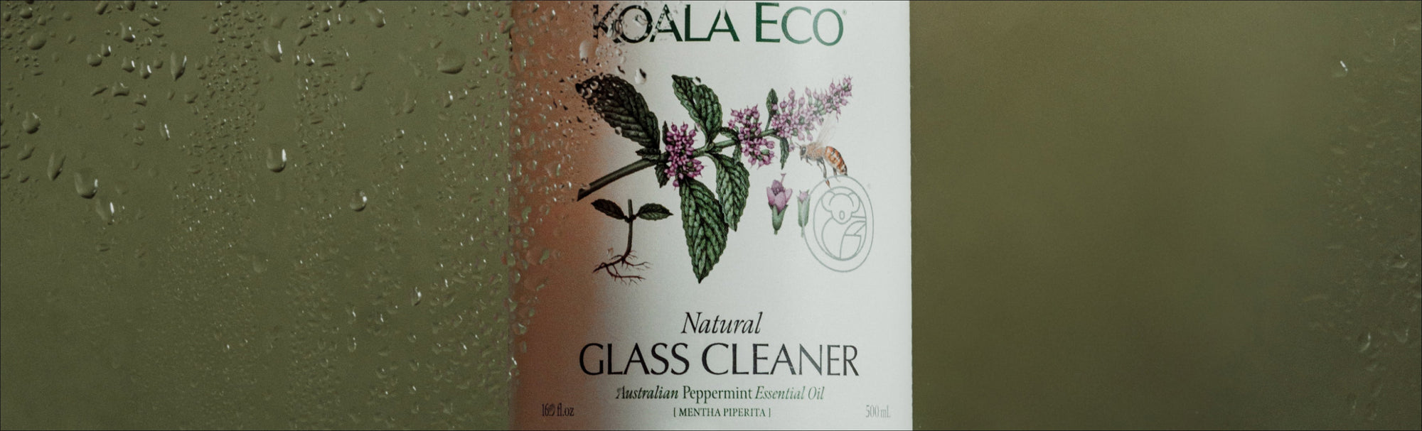 Why clean windows make everything brighter