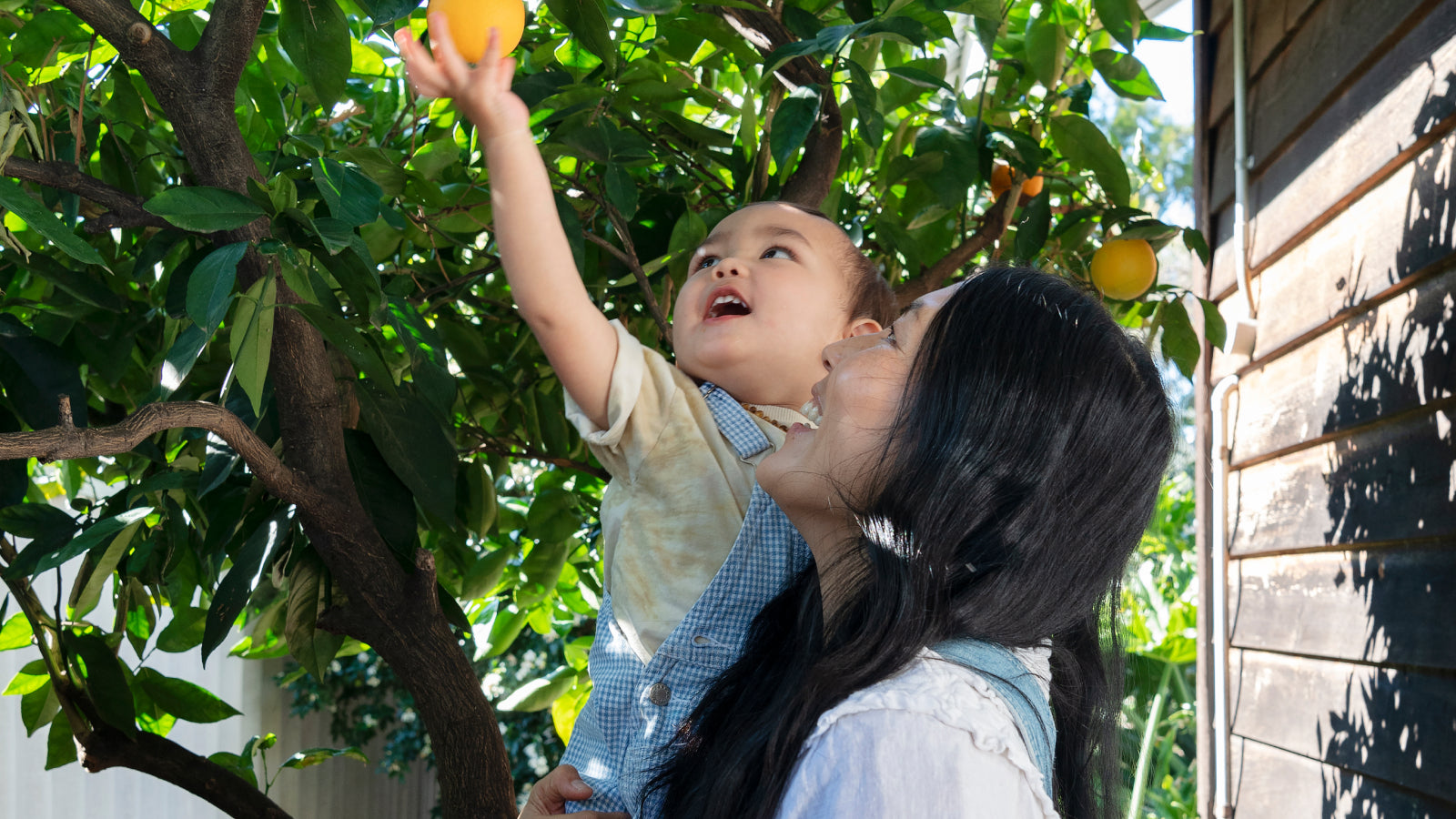 Singing the tune without the words: the renewal of hope