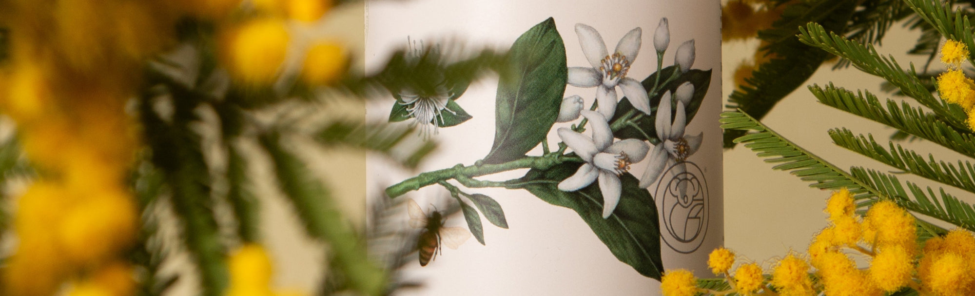 Spring Cleaning as a Reset Ritual