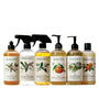 Koala Eco Best Seller Collection