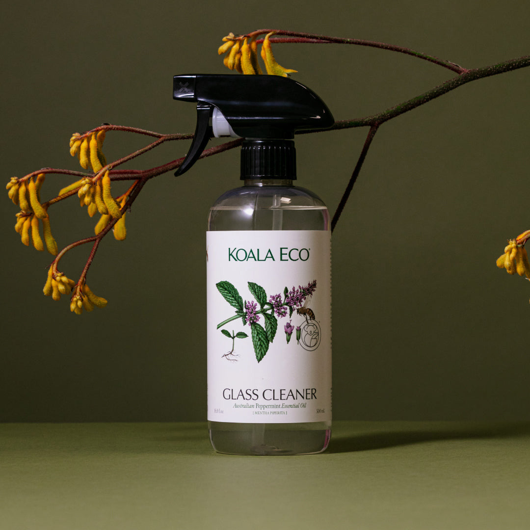 Glass Cleaner